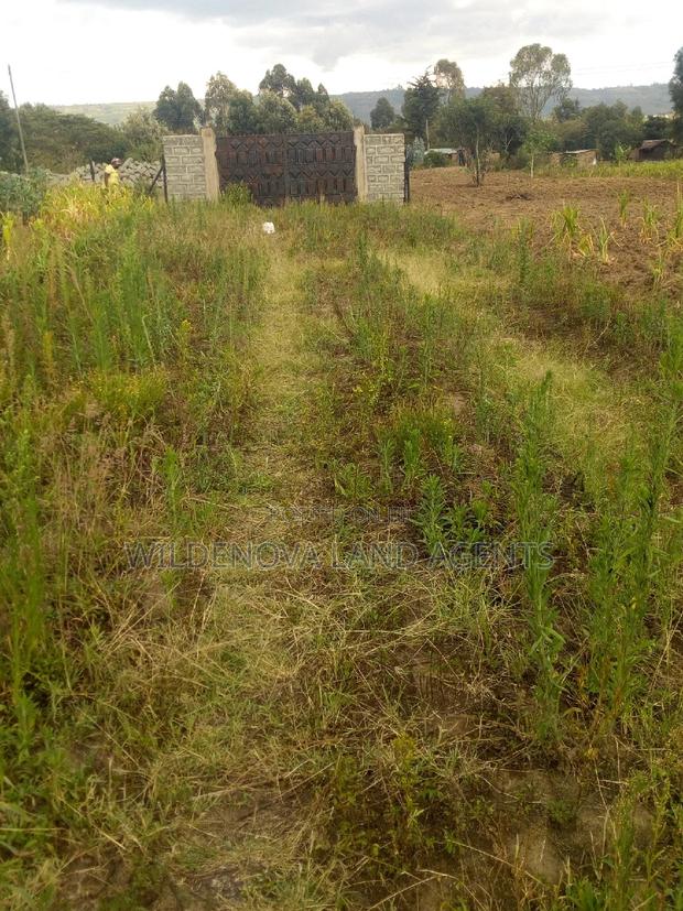50*100 Plot on Sale at Karati Naivasha - thumbnail 3