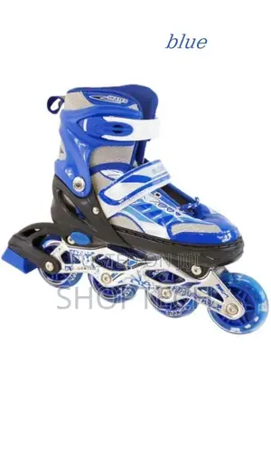 Completes Skate Shoes- All Colours.