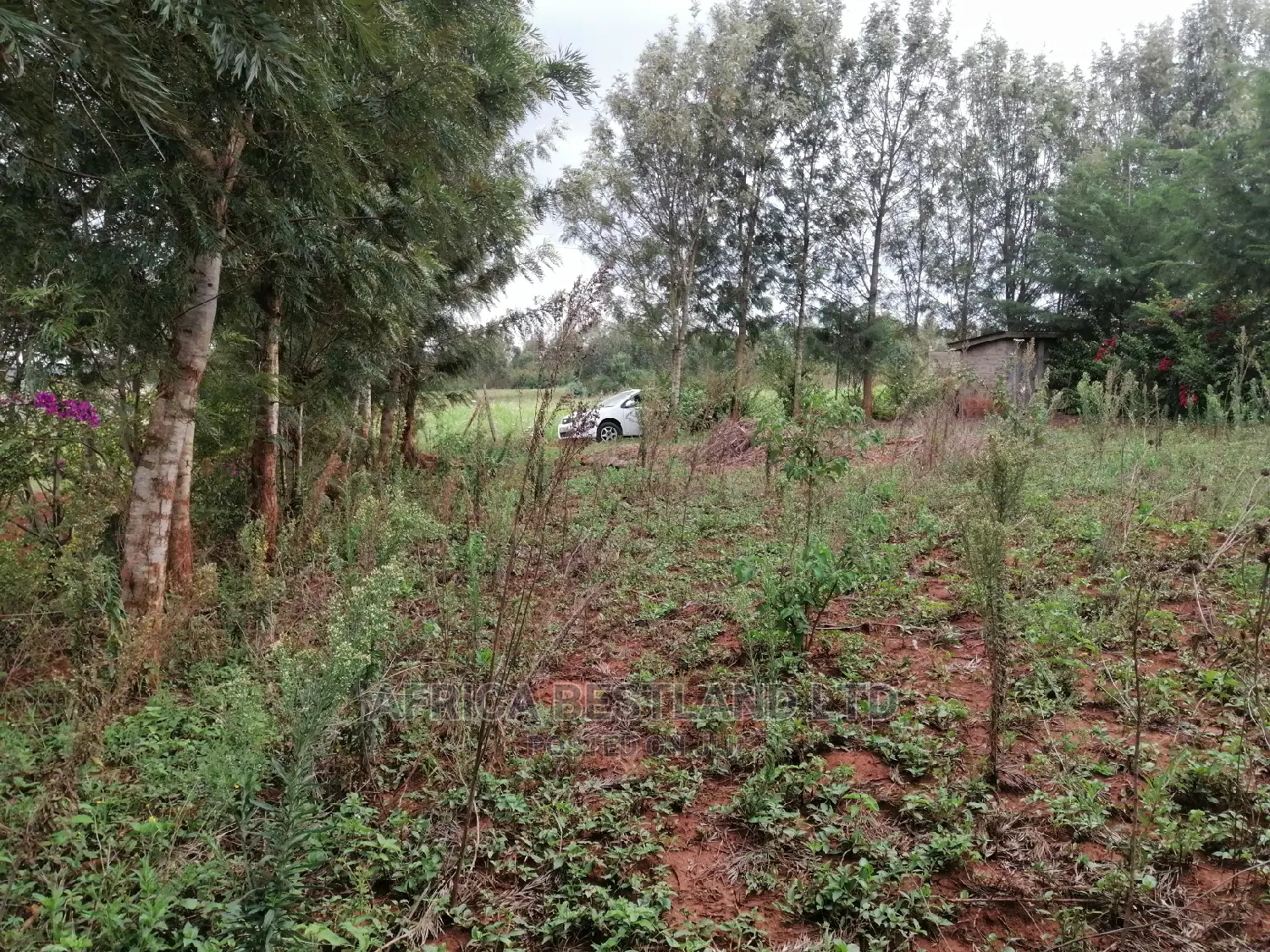 Residential Plot for Sale in Migumoini