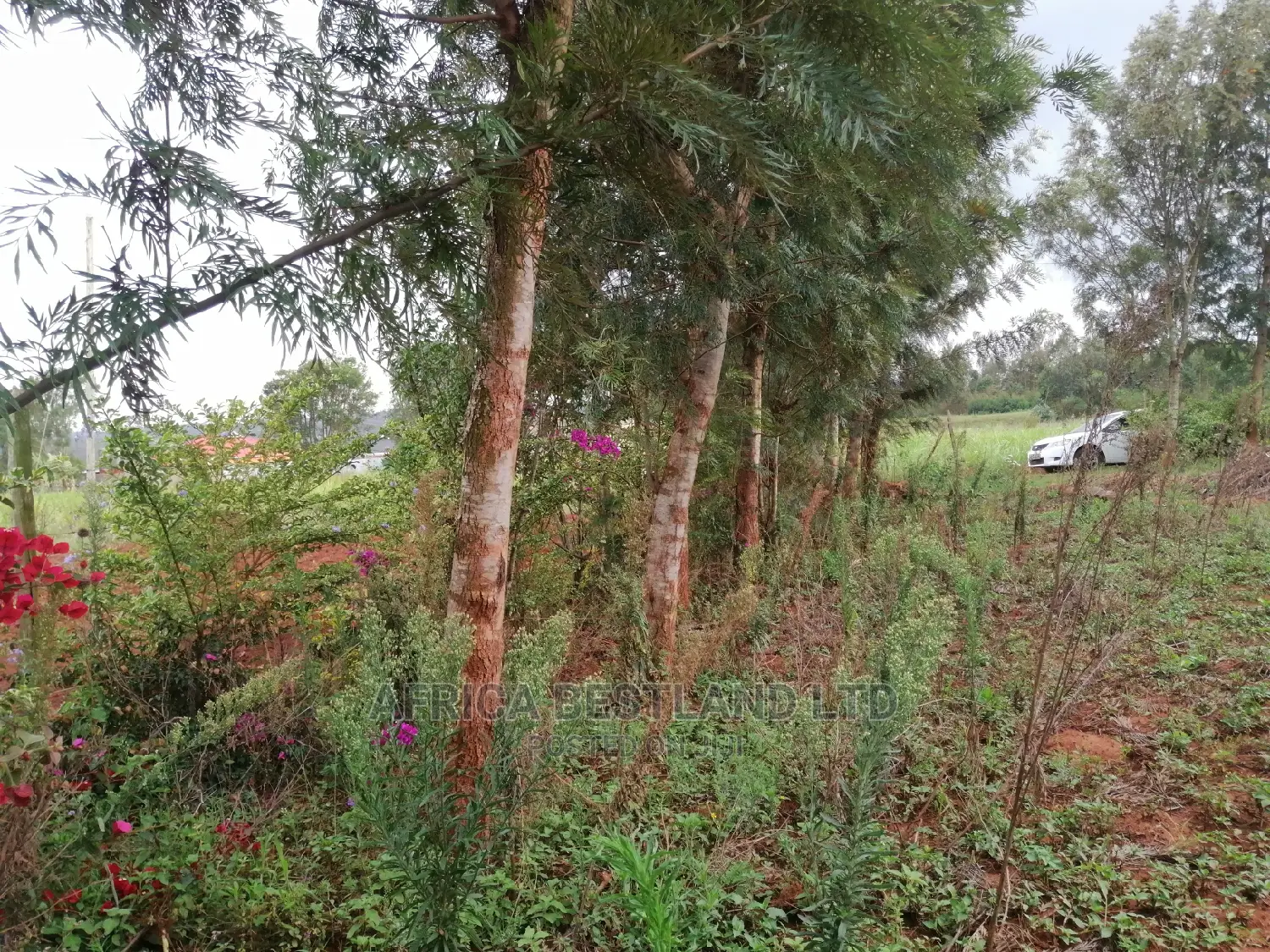 Residential Plot for Sale in Migumoini