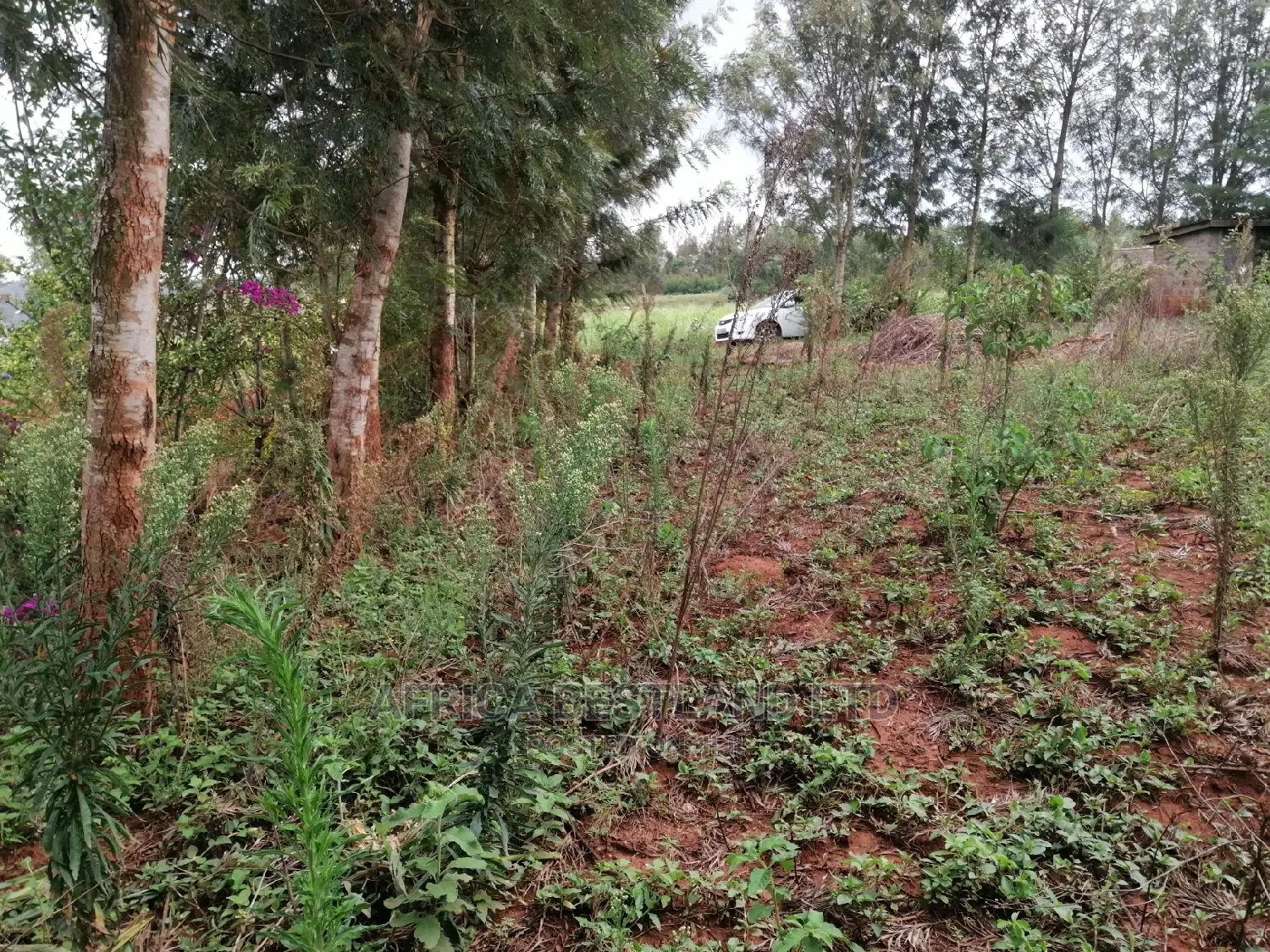 Residential Plot for Sale in Migumoini