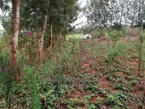 Residential Plot for Sale in Migumoini