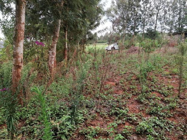 Residential Plot for Sale in Migumoini - thumbnail 4