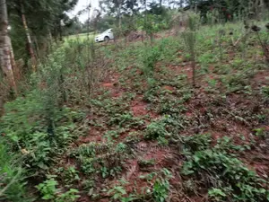 Residential Plot for Sale in Migumoini