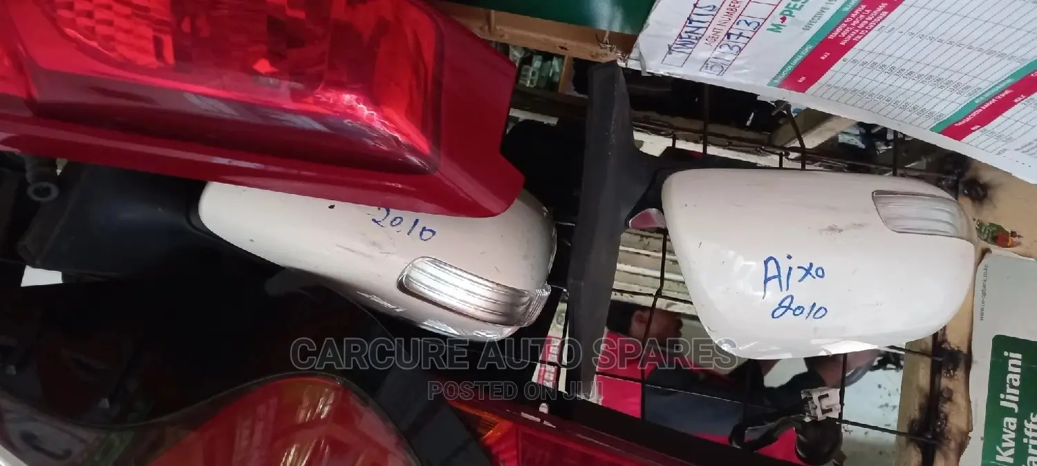 Axio Fielder 2010 Side Mirrors
