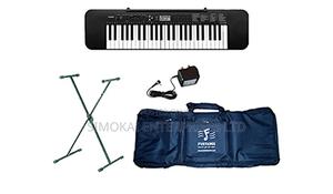 Casio CTK-245 49-Key Electronic Keyboard - main view