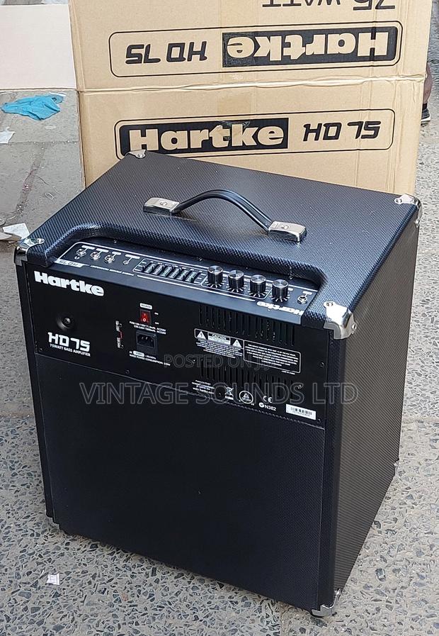 Hartke Hd75 Bass Combo Amplifier - thumbnail 2