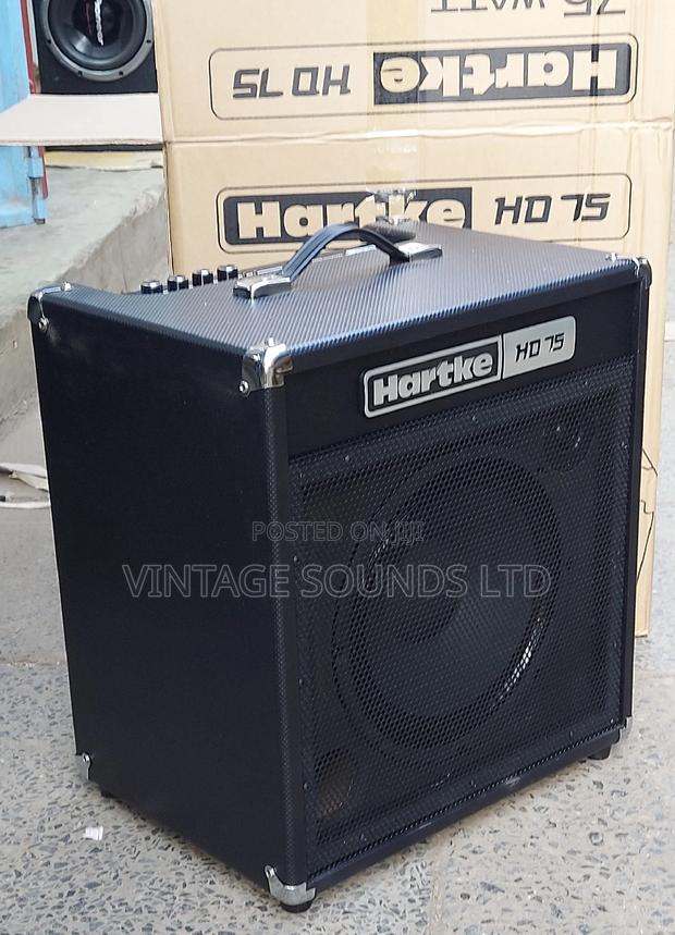 Harteke Hd75 Guitar Bass Combo Amplifier - main view