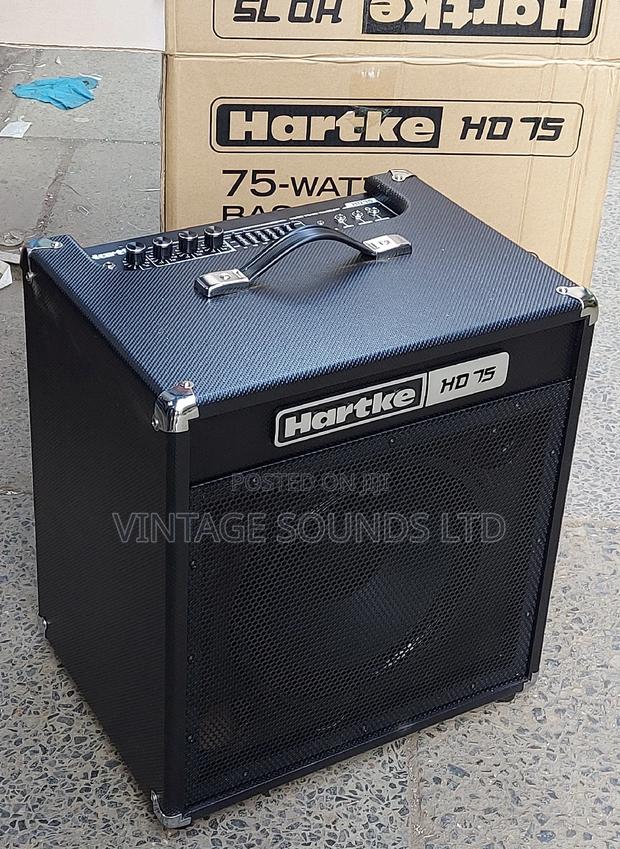 Harteke Hd75 Guitar Bass Combo Amplifier - thumbnail 2