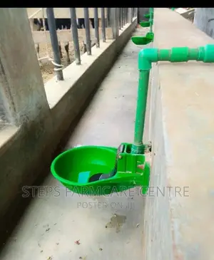 Automatic Cow Drinker