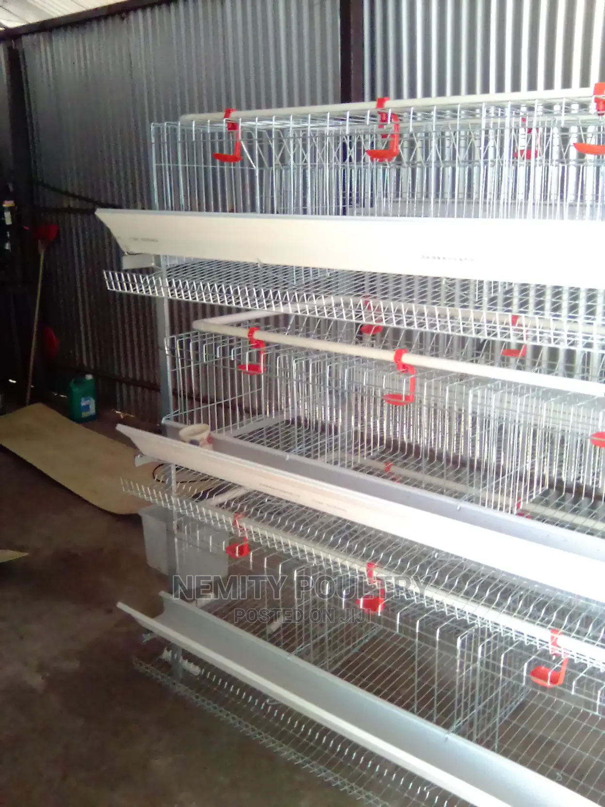 Chicken Cage