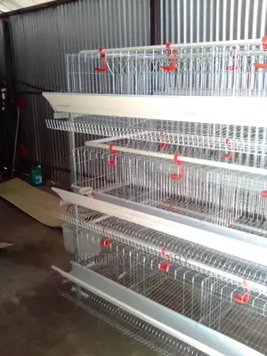Chicken Cage