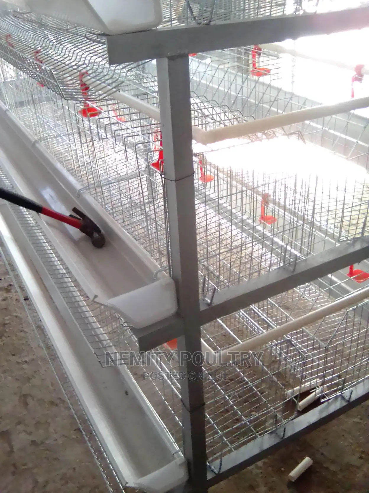 Chicken Cage