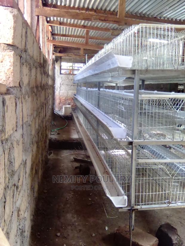 Chicken Cage - thumbnail 4