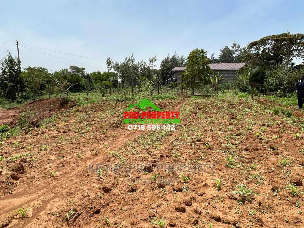 Prime 1/8 Acre Residential Plot for Sale in Kamangu.