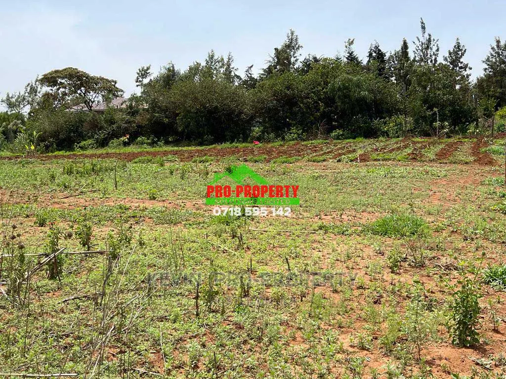 Prime 1/8 Acre Residential Plot for Sale in Kamangu.