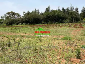 Prime 1/8 Acre Residential Plot for Sale in Kamangu.