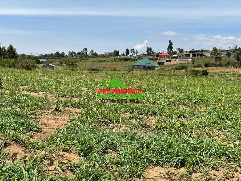 Prime 1/8 Acre Residential Plot for Sale in Kamangu.