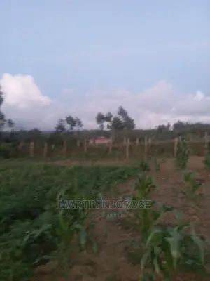 100 by 100 Kinungi, 200 MTRS From Highway