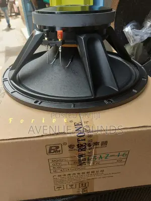 Bm AZ16 Midrange Speaker