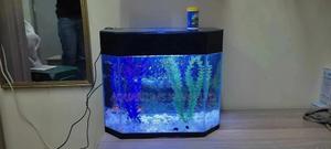 Complete 25litres Aquarium - thumbnail 2