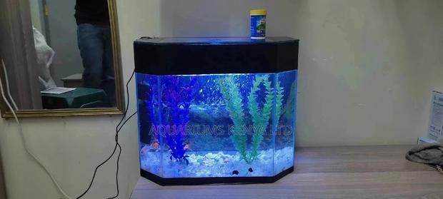 Complete 25litres Aquarium - main view