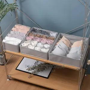 3 in 1 Undergarments Organizer
