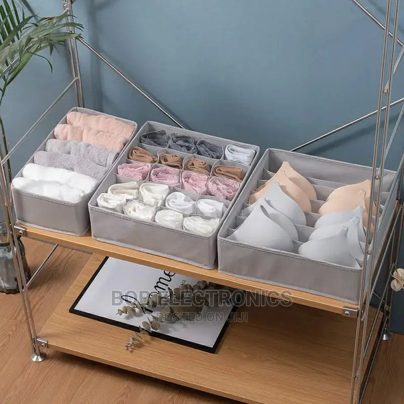 3 in 1 Undergarments Organizer