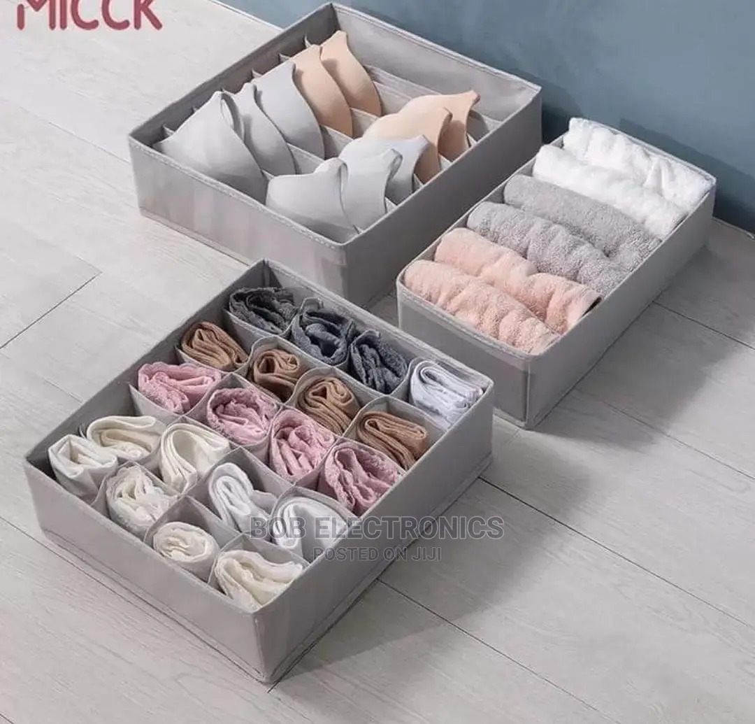 3 in 1 Undergarments Organizer