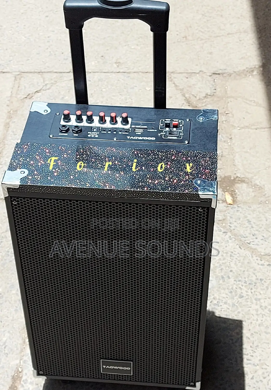 Tagwood 10inch Portable Speaker