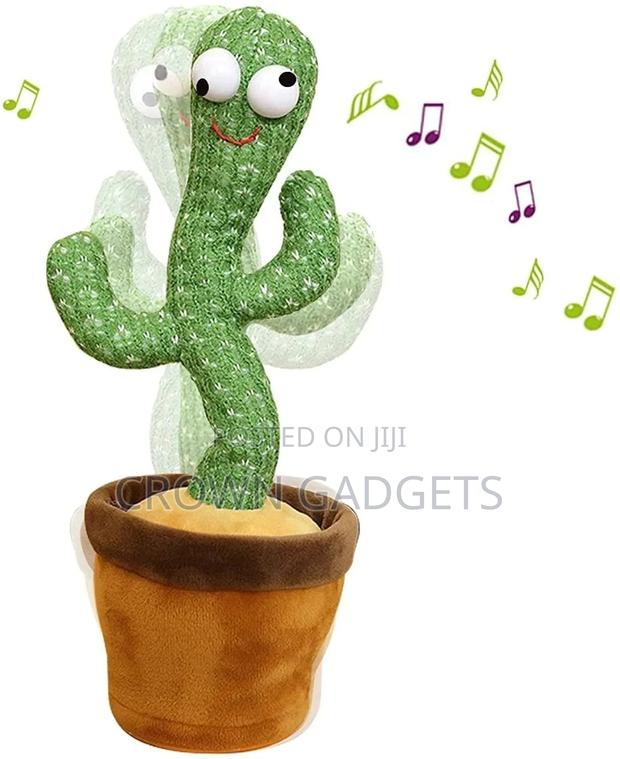 Shake Dancing Cactus, - main view