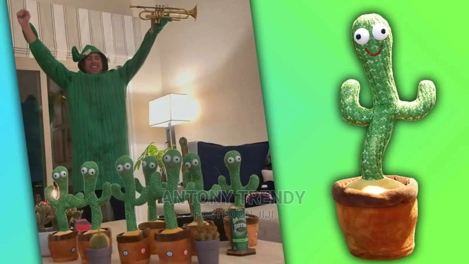 Wriggle Dancing Cactus Repeat What You Say and Sing