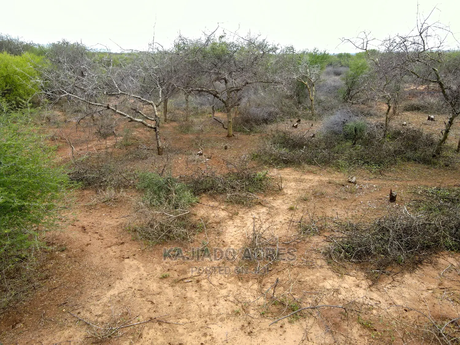 75 Acres and 70acres Maili Tisa at 350k Per Acre