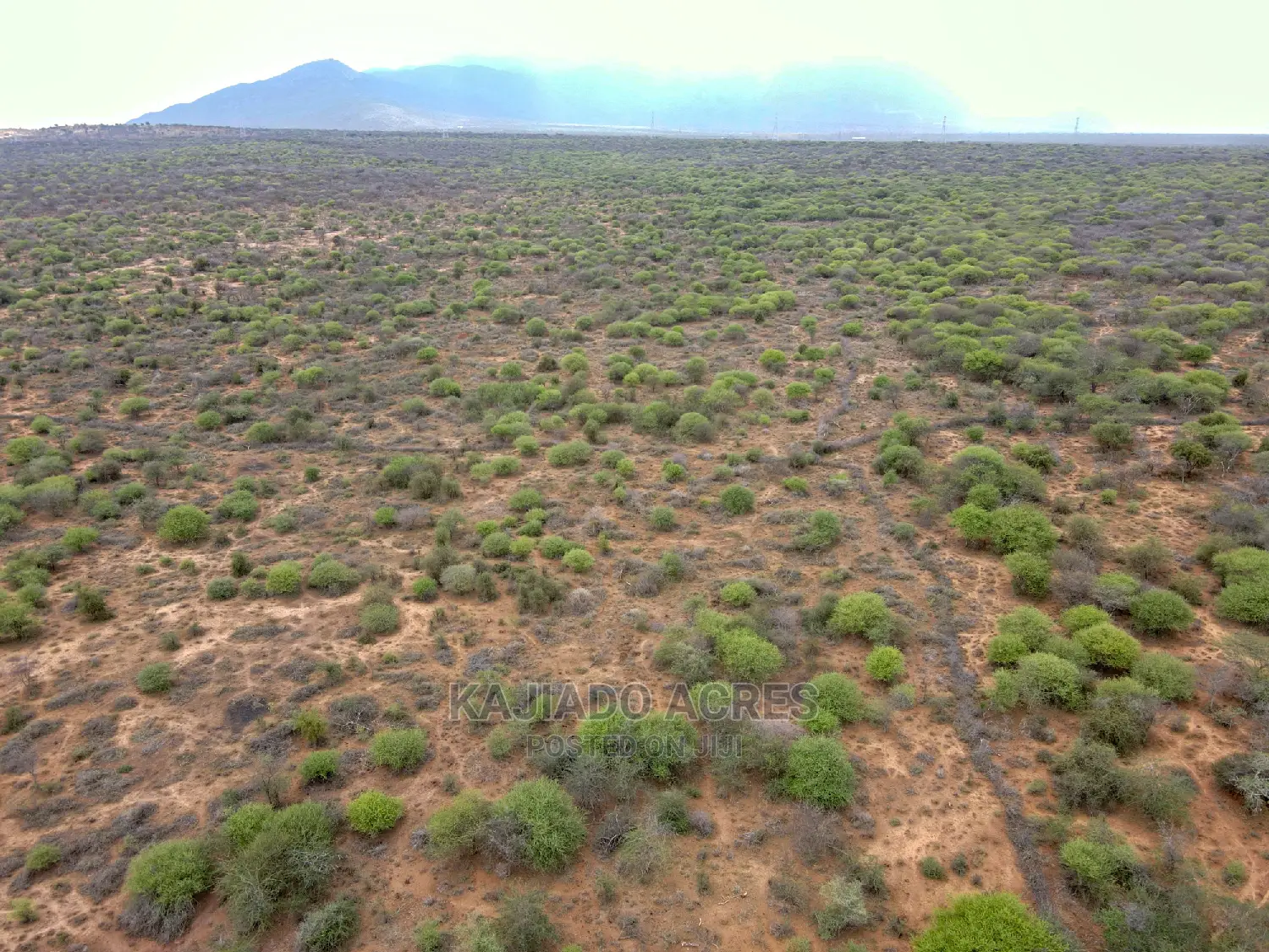 75 Acres and 70acres Maili Tisa at 350k Per Acre