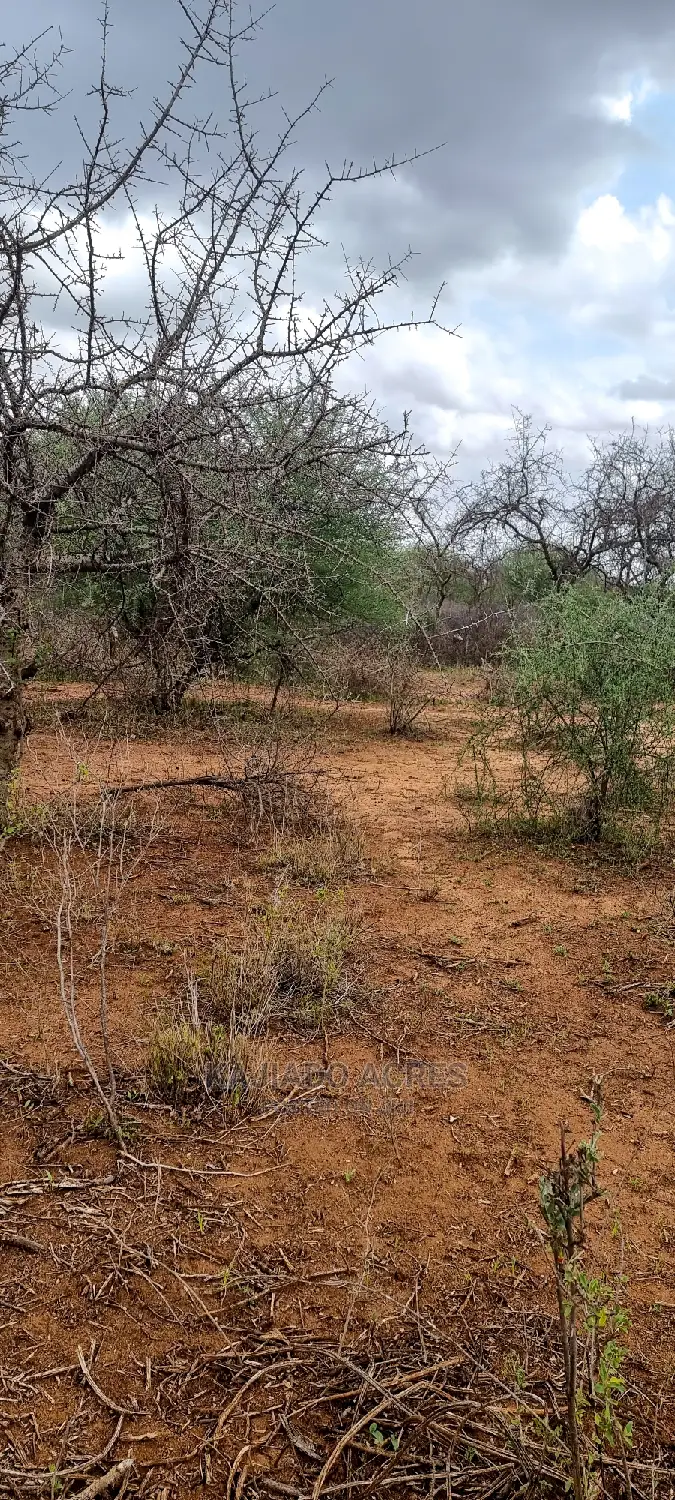 75 Acres and 70acres Maili Tisa at 350k Per Acre