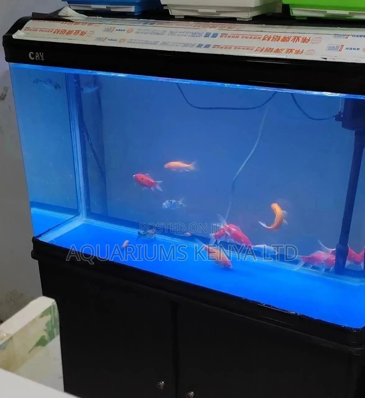 Imported Aquariums