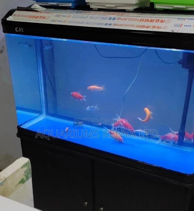 Imported Aquariums - main view