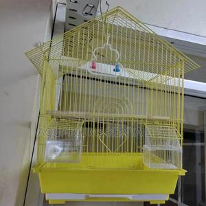 Amaizing Bird Cages - thumbnail 2