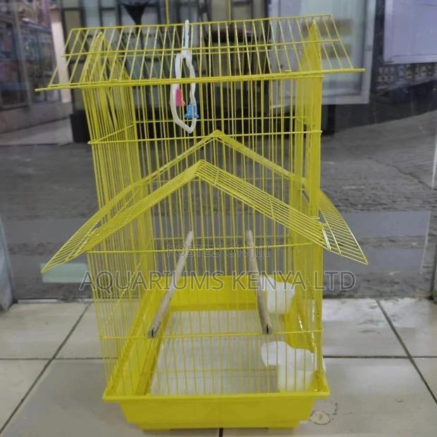 Spacious Birdcages - main view