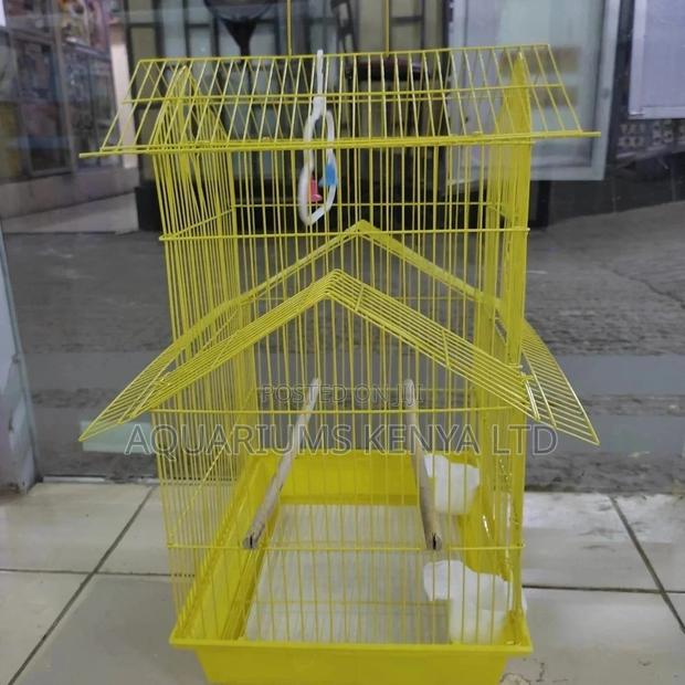 Beautiful Birdcages - main view