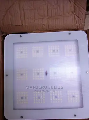 100watts Canopy Light
