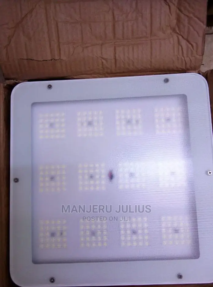 100watts Canopy Light