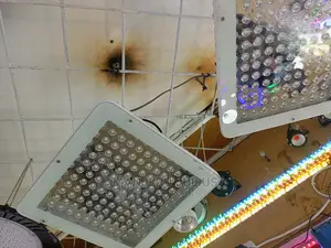 100watts Canopy Light