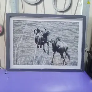 A2 Wall Frames
