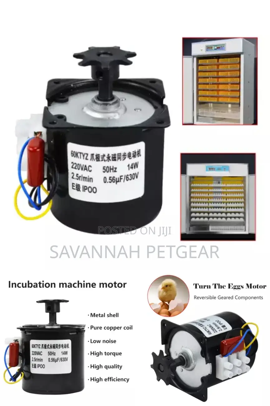 Synchronous Motor for Shawarma Grill Egg Incubator Turning