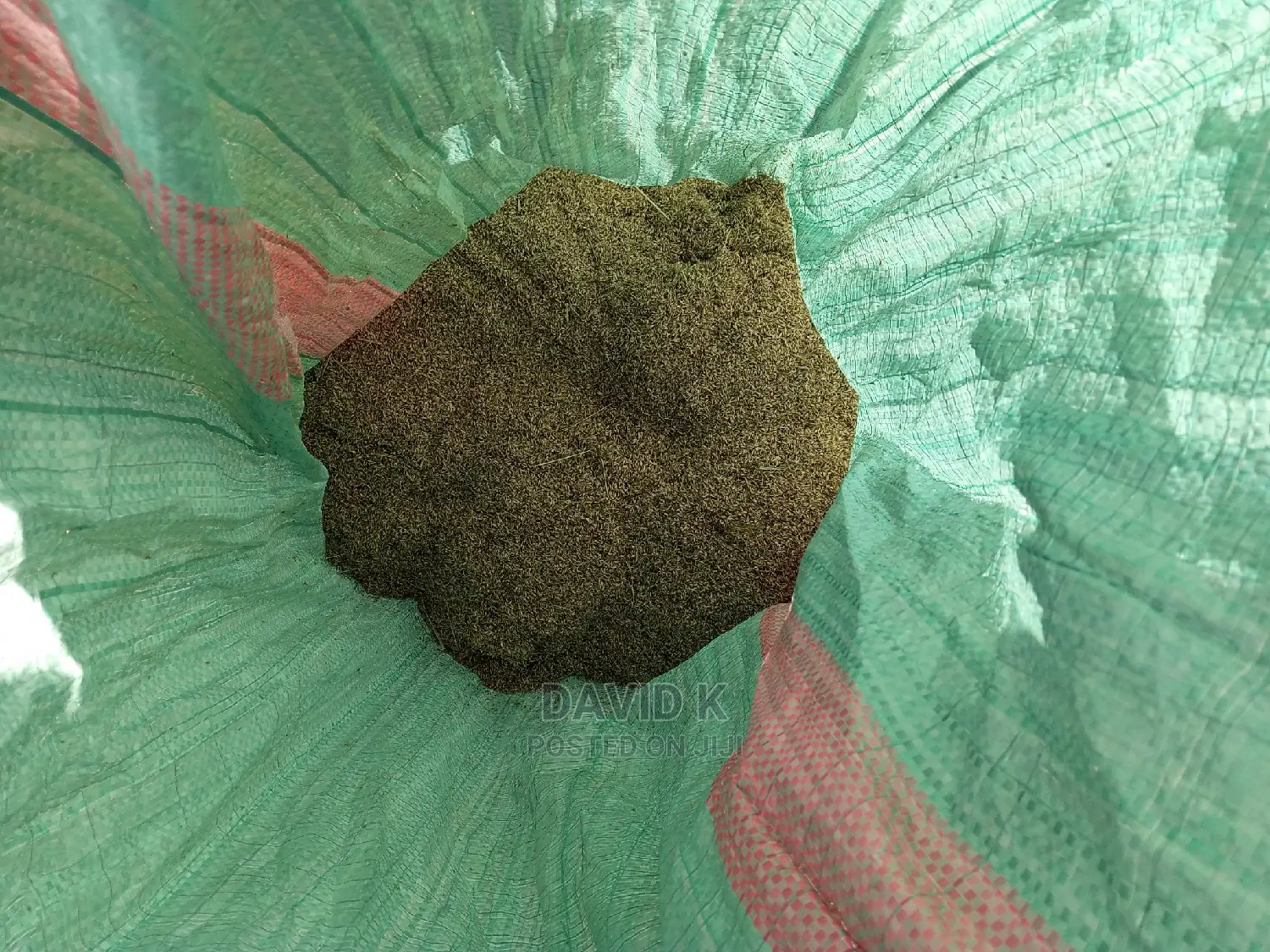 Bhoma Rhodes(Hay) Seeds, Bricharia Seeds, Buffel Grass Seeds