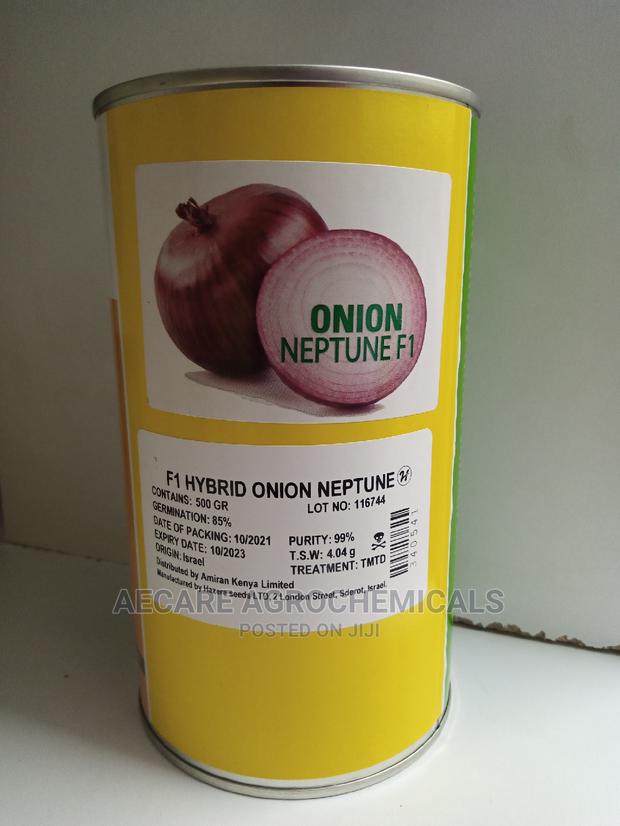 Neptune F1 Hybrid Onion 500G