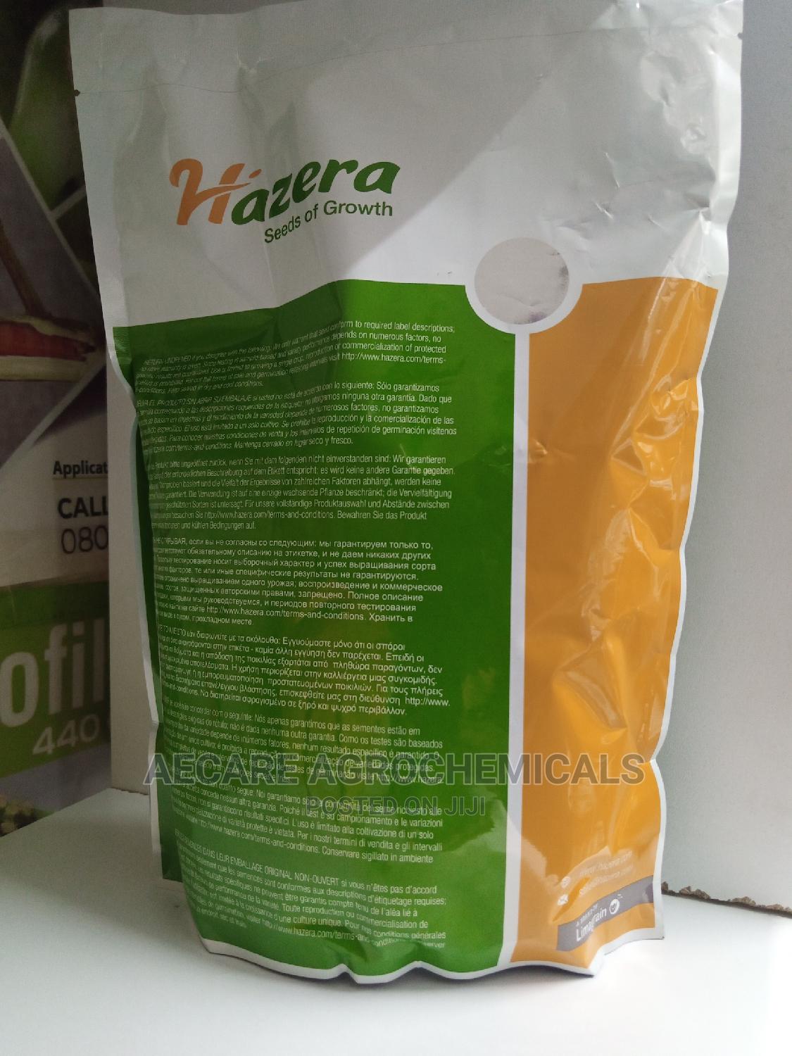 Neptune Onion Hybrid F1. 1kg in Nairobi Central Feeds, Supplements