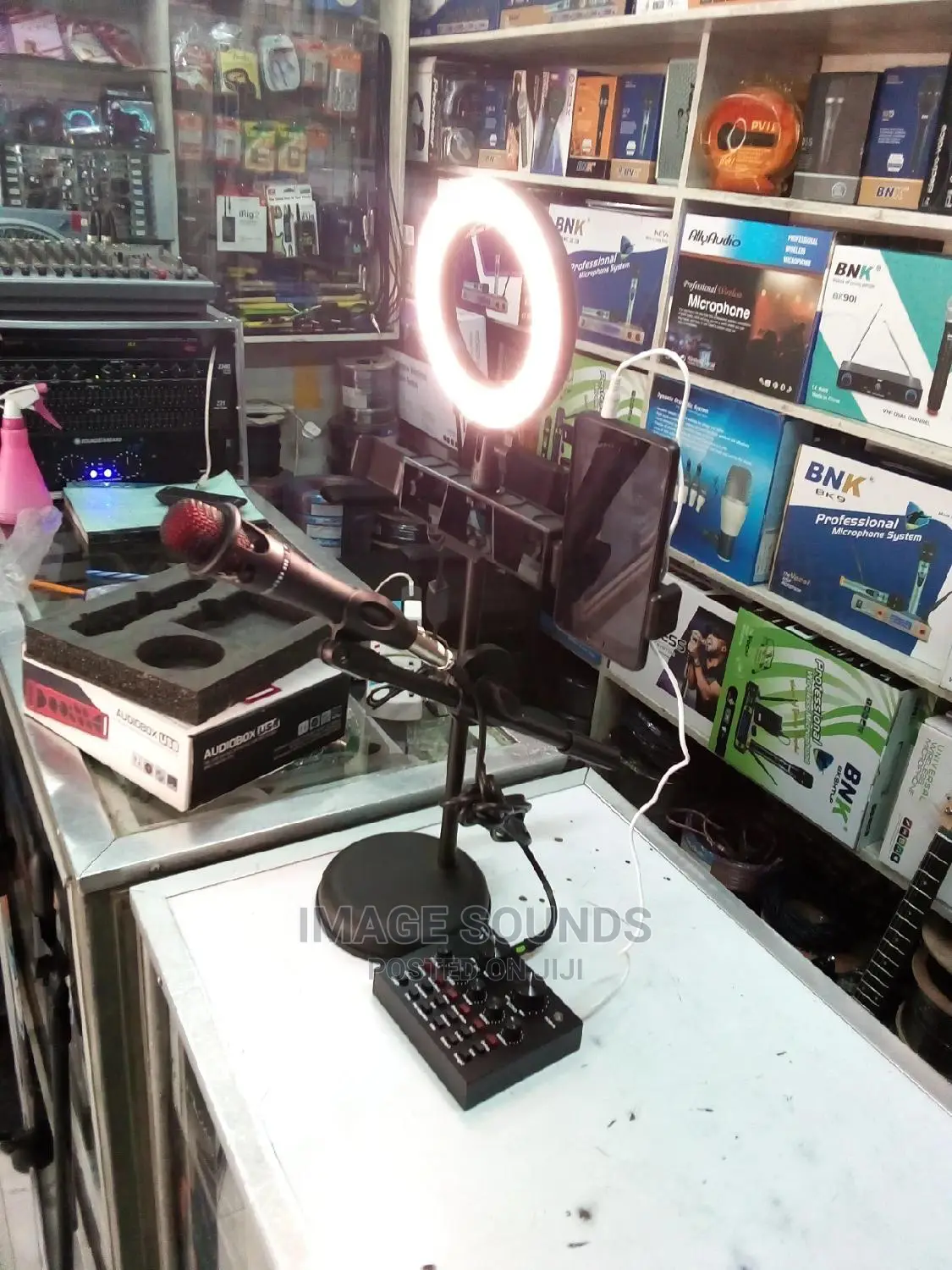 Home Studio Mic and Small Ring Light