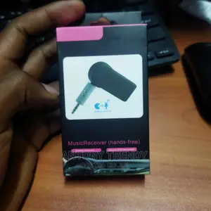 Music Receiver Supports Hands Free Calls Echo Cancellation